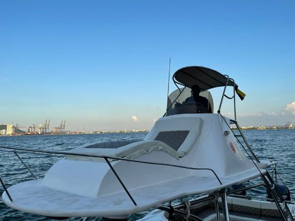 Bravo 41 | Dulzura 2