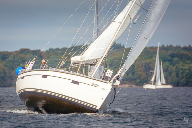 Bavaria Cruiser 37 | Tiger