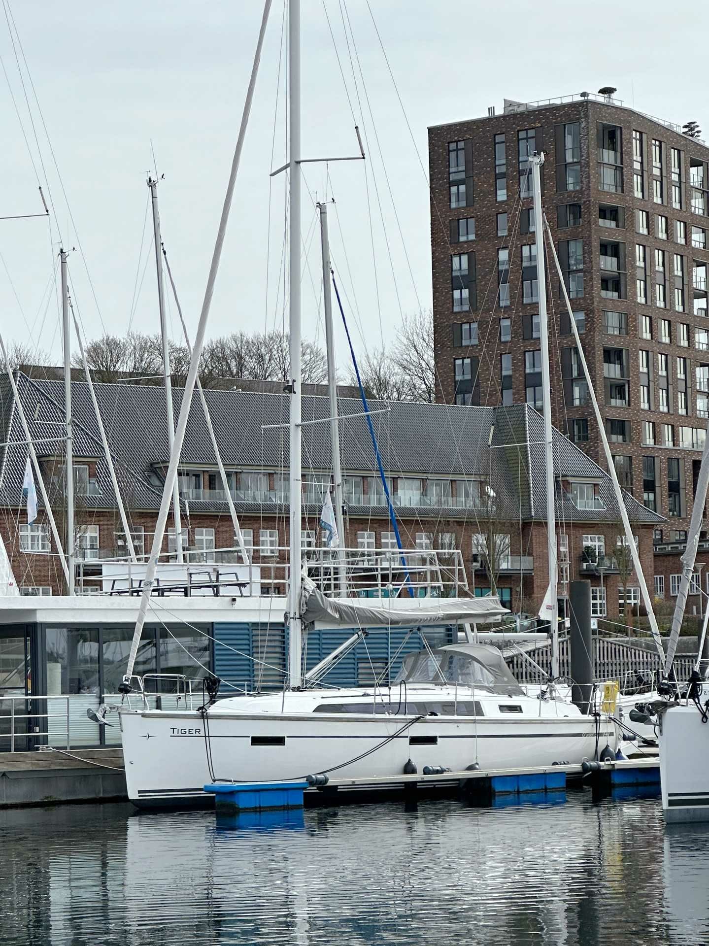 Bavaria Cruiser 37 | Tiger