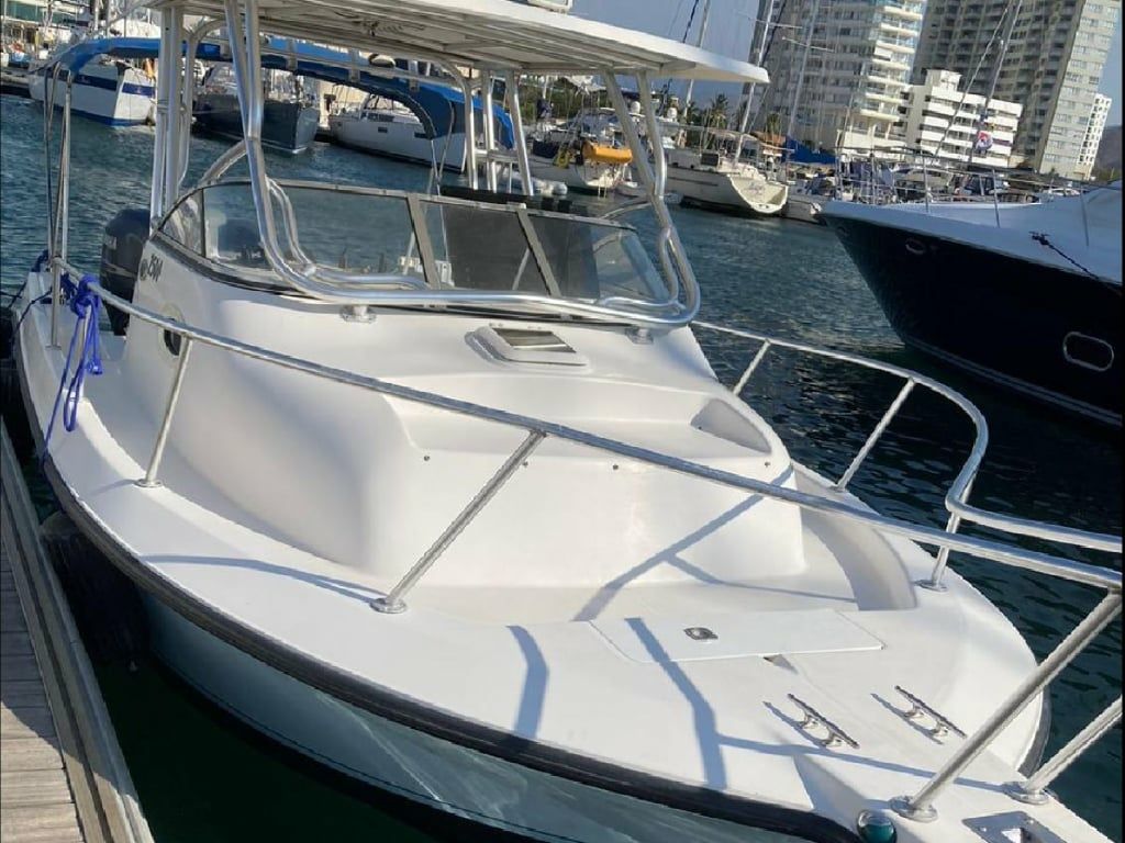 Boston Whaler 25 | Angler