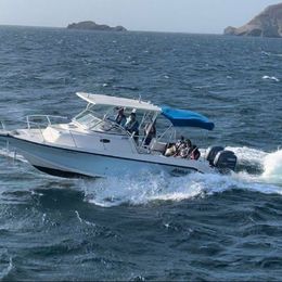 Boston Whaler 25 | Angler
