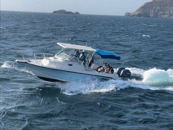 Boston Whaler 25 | Angler