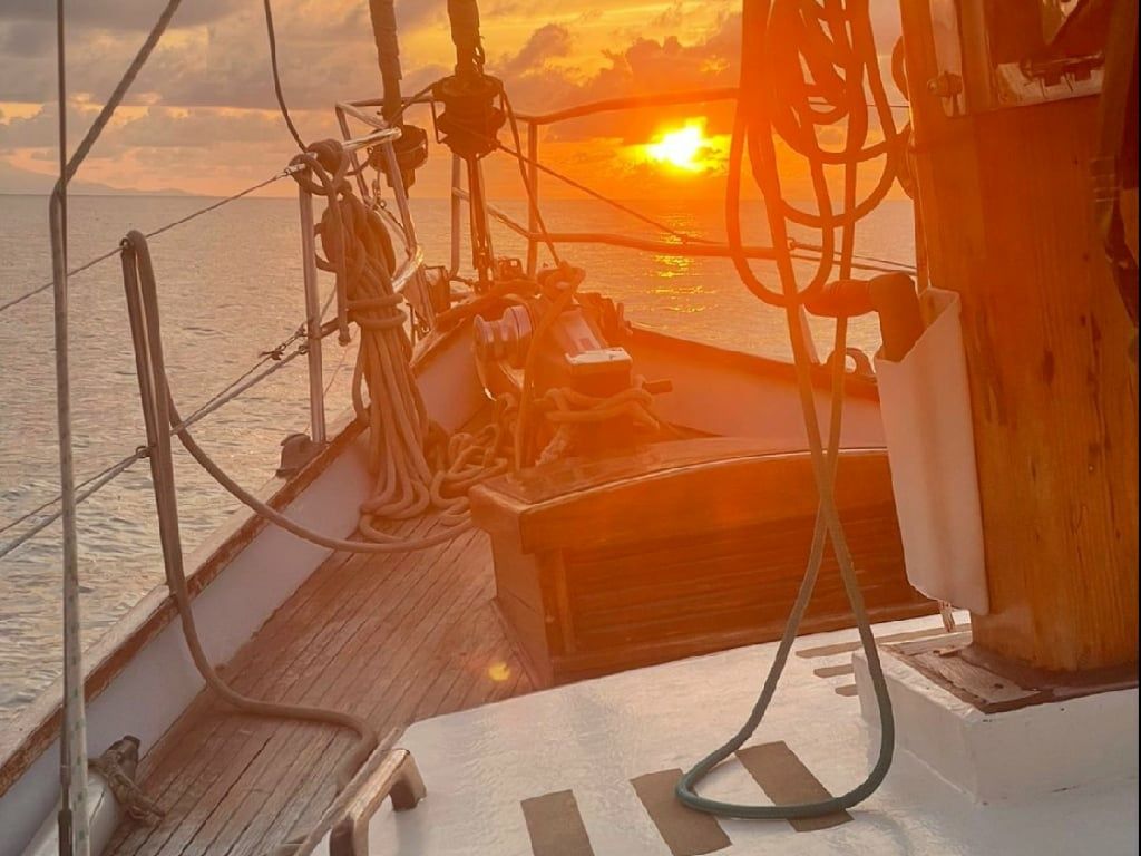 Ted Brewer | Anna Lezah