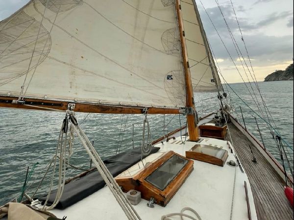 Ted Brewer | Anna Lezah