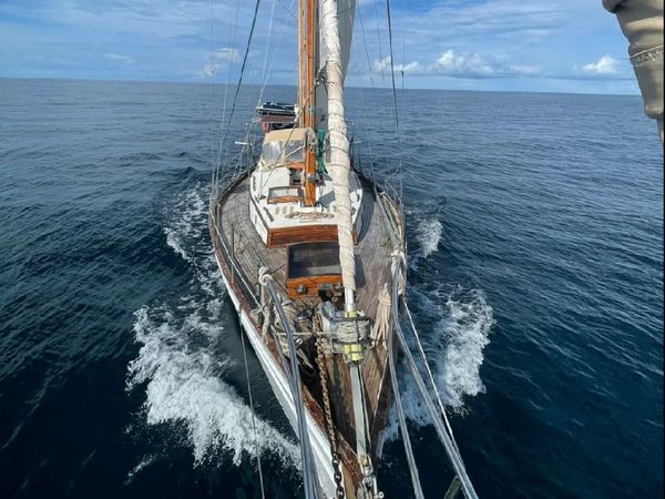 Ted Brewer | Anna Lezah