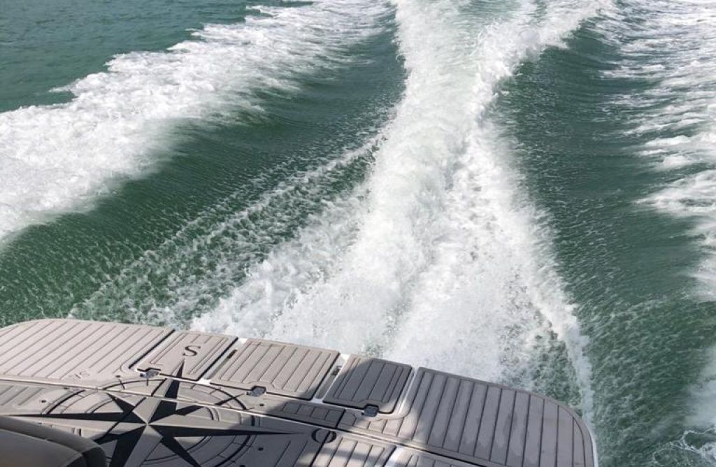 Focker 28 | Dona Flor