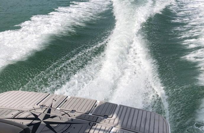 Focker 28 | Dona Flor