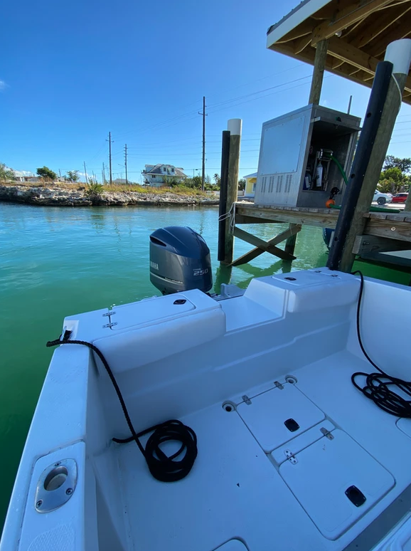 Paramount 26 | Single