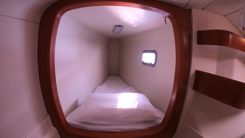 Leopard 43 | Capella