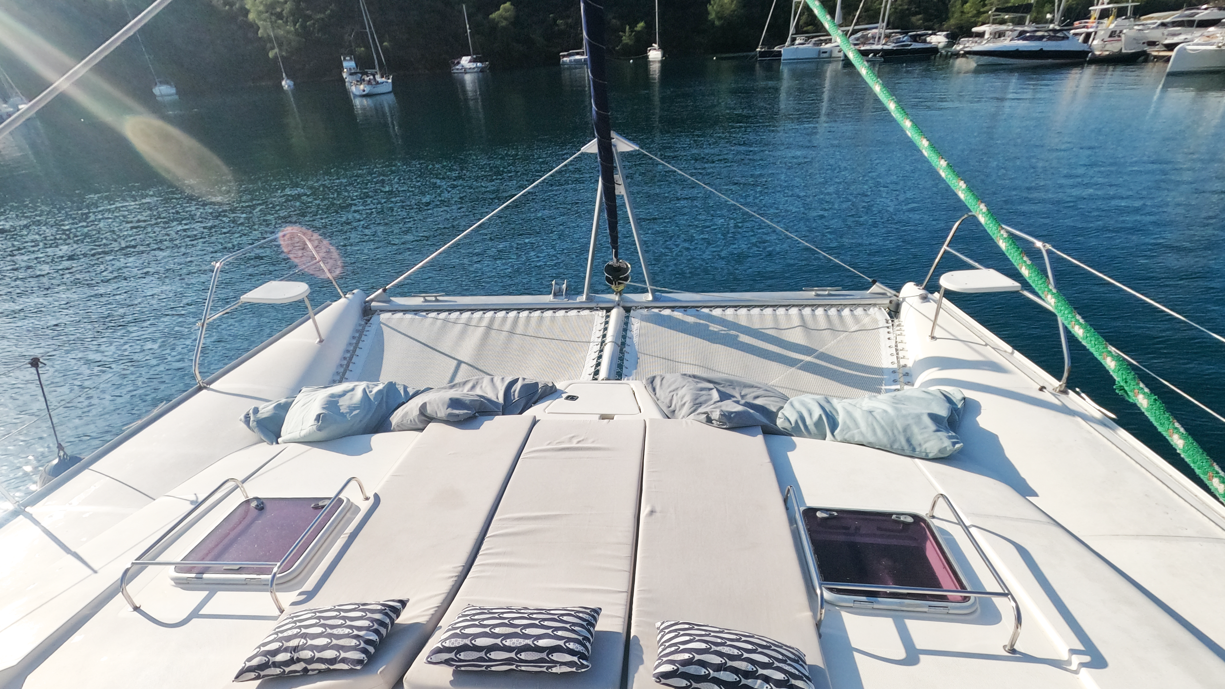 Leopard 43 | Capella