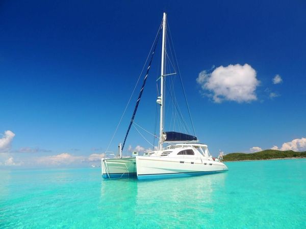 Leopard 42 | Ms Behaviour