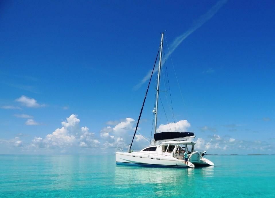 Leopard 42 | Ms Behaviour