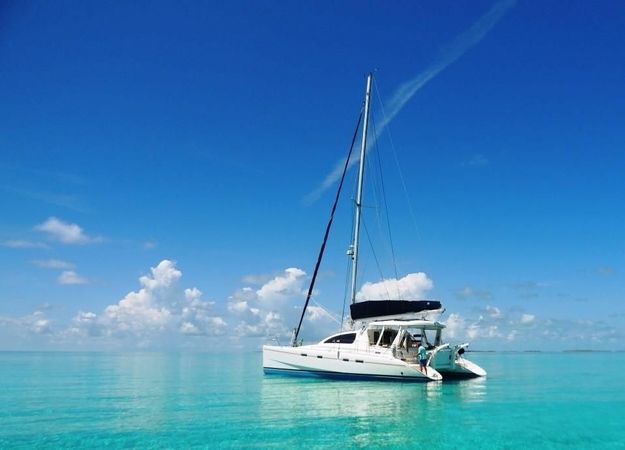 Leopard 42 | Ms Behaviour