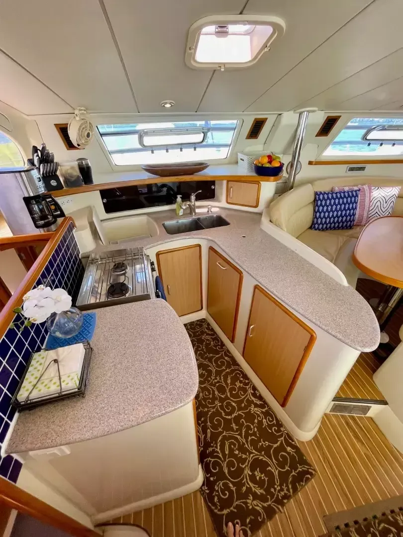 Leopard 42 | Ms Behaviour