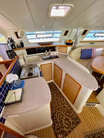 Leopard 42 | Ms Behaviour