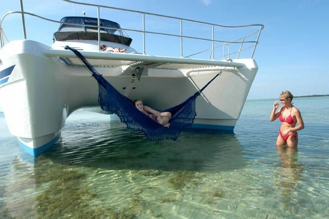 Africat 420 | Vaiatea