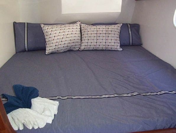 Africat 420 | Vaiatea