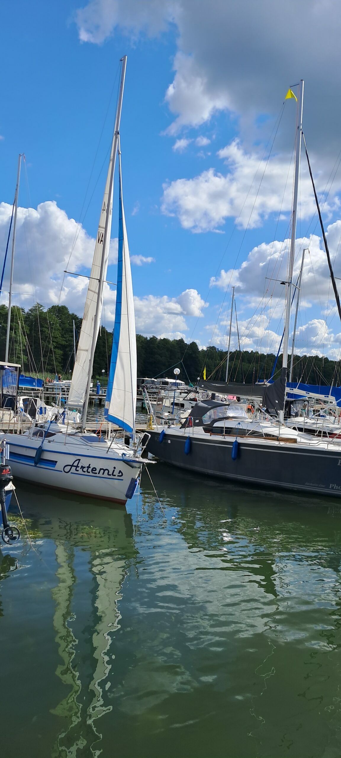 Sasanka 620 | Artemis