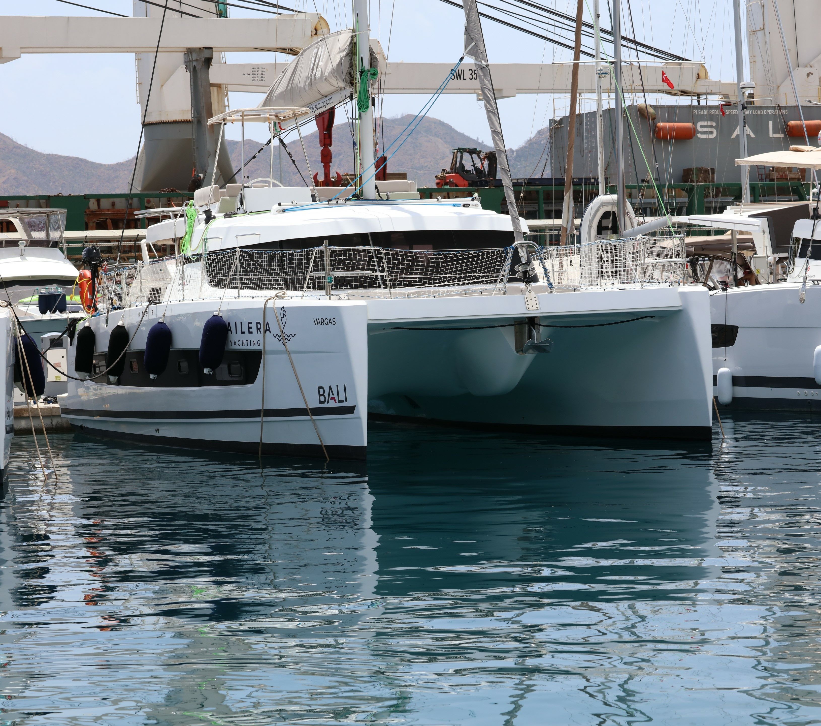 Bali Catspace | Vargas