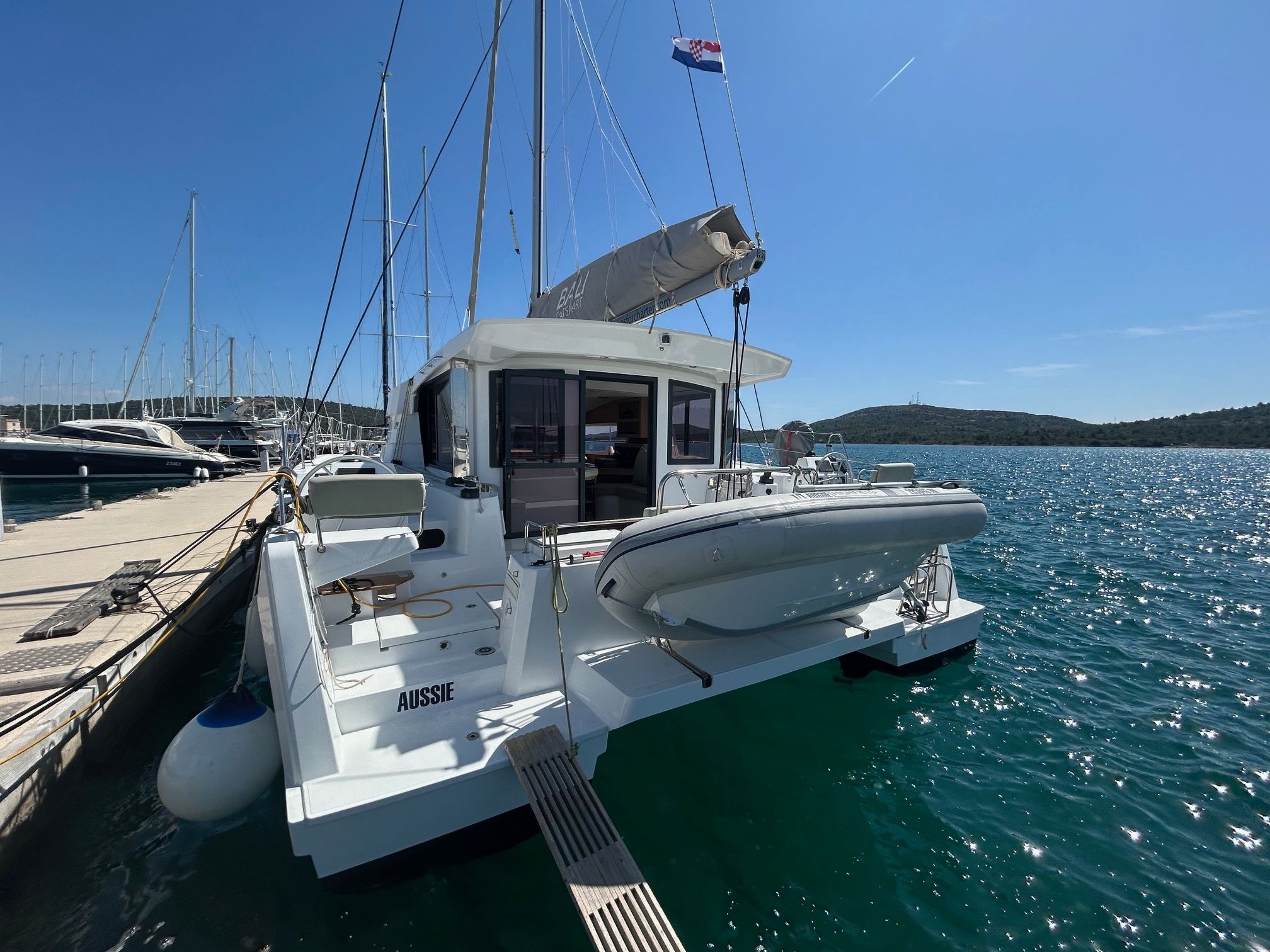 Bali Catsmart | Aussie