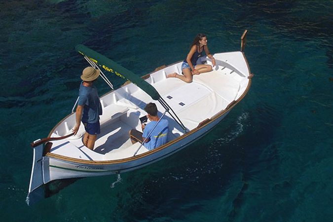 Gozzo Petrus | Hortensia