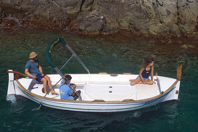 Gozzo Petrus | Hortensia