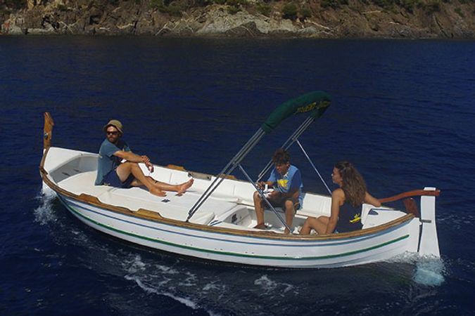 Gozzo Petrus | Hortensia