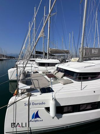 Bali Catsmart | Sail Dorado