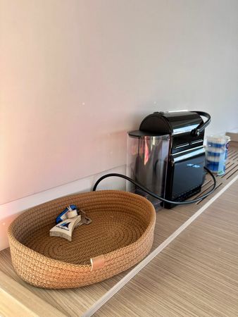 Lagoon 42 | Sail Proteus