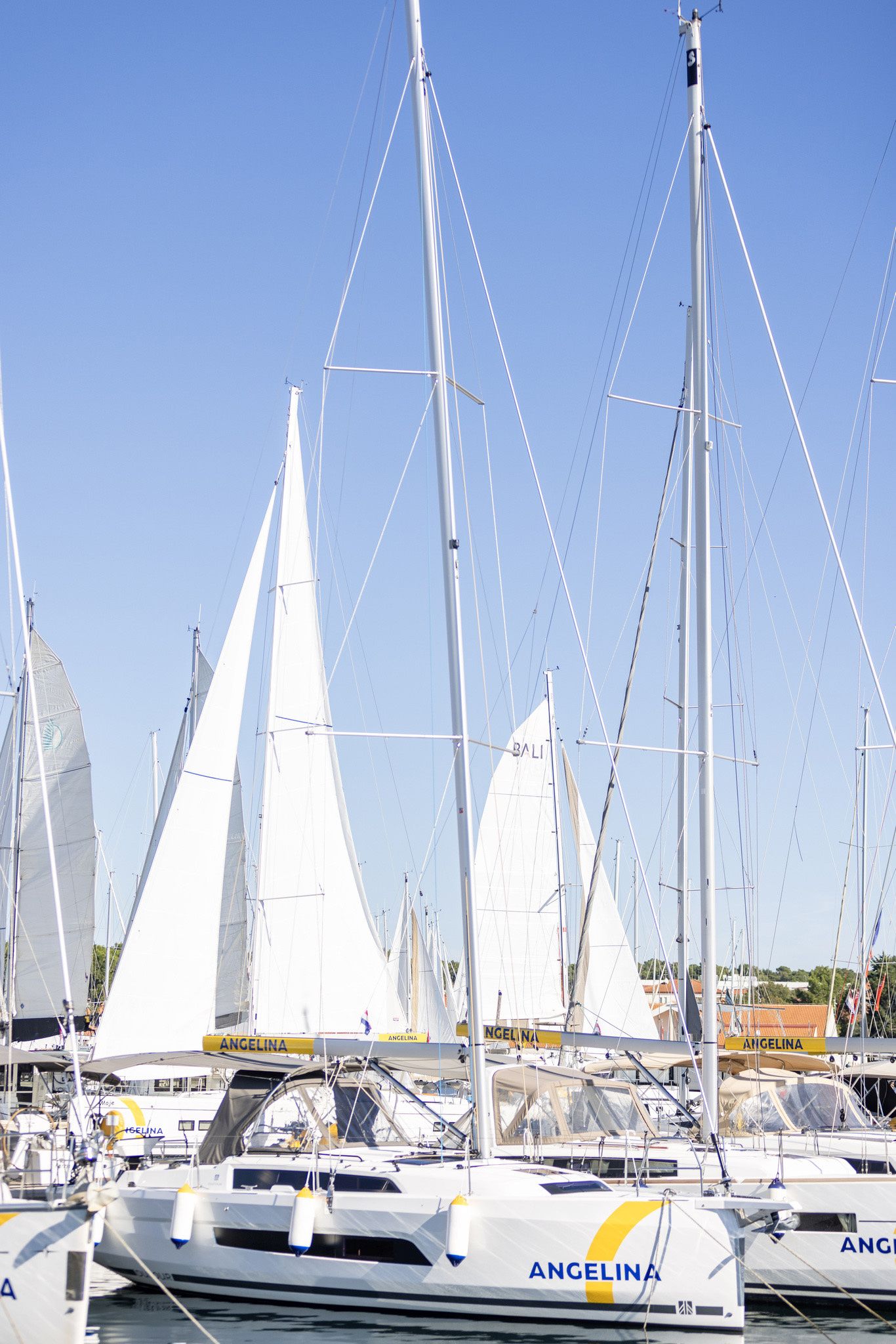 Dufour 37 | Nessie