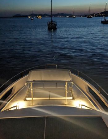 Greenline 45 Fly Hybrid | Pure