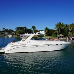 Sea Ray 580 | Nemesis