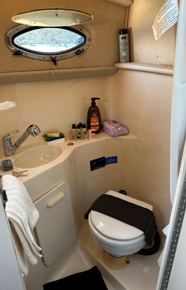 Sea Ray 250 | Cordelia