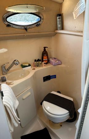 Sea Ray 250 | Cordelia