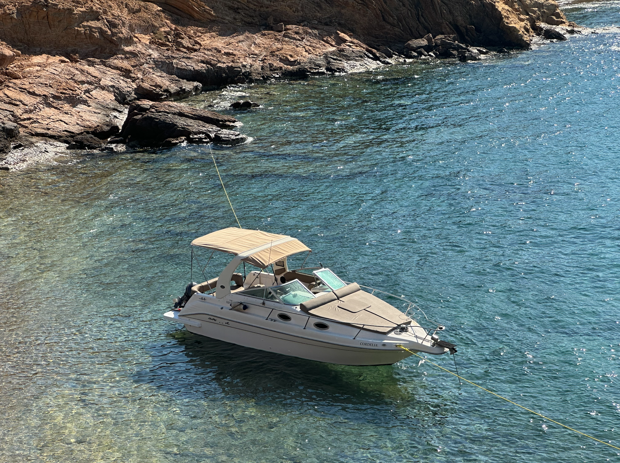 Sea Ray 250 | Cordelia