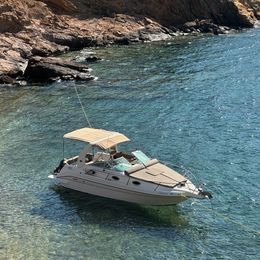 Sea Ray 250 | Cordelia