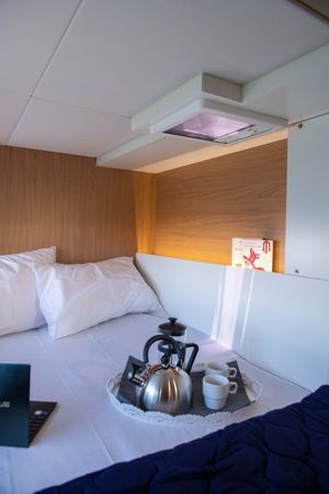 Bali Catsmart | Ela Thalassa 3