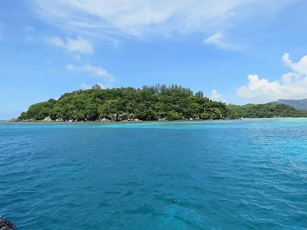 Leopard 48 | Jaudanic 3