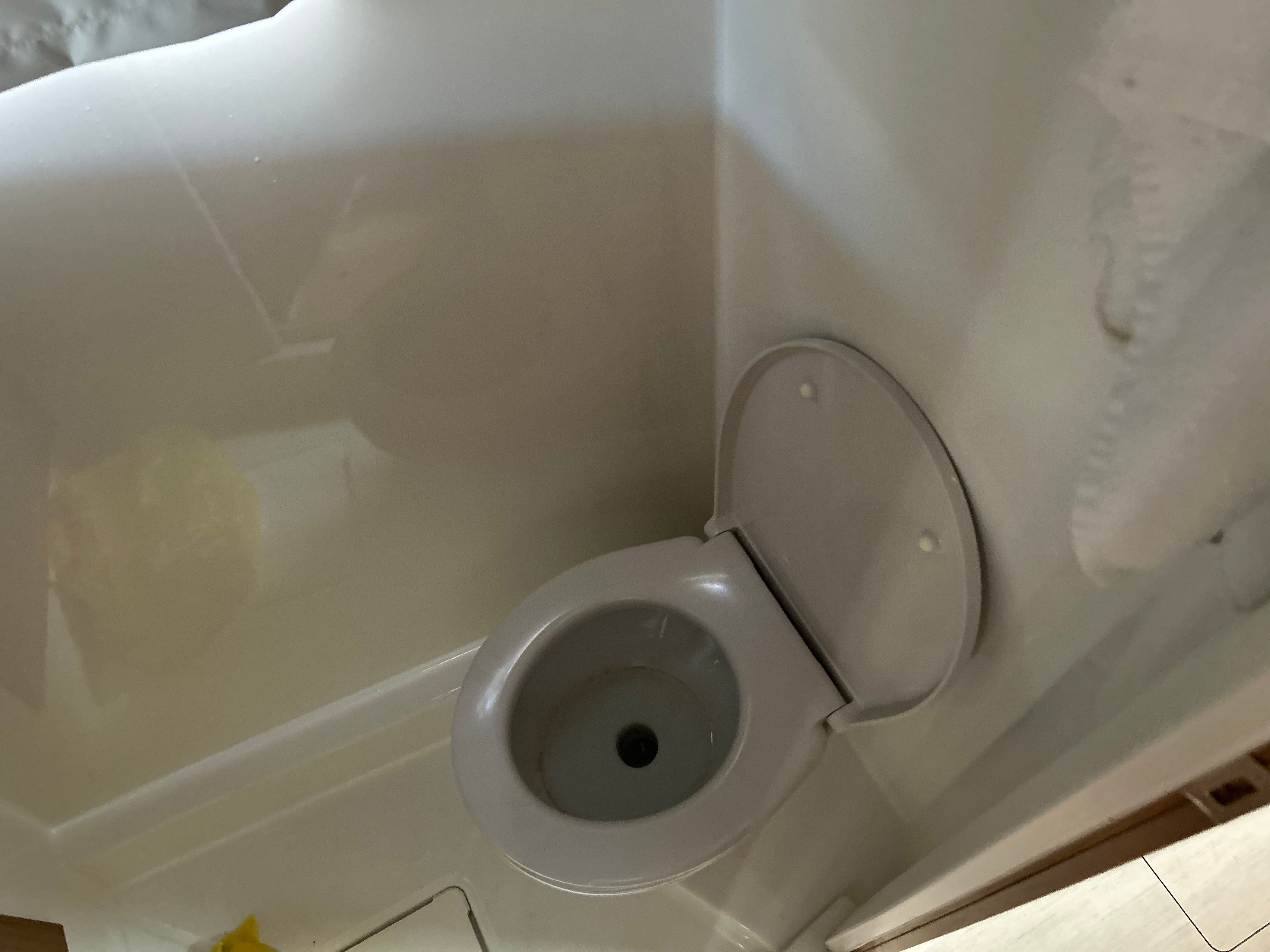 Bali Catspace | Play