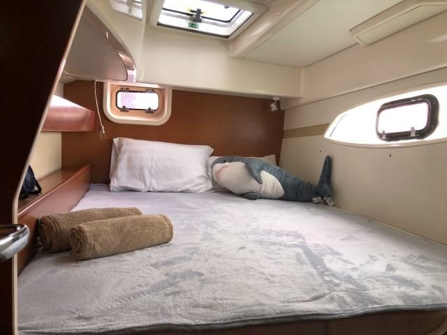 Leopard 384 | Salty Dogs