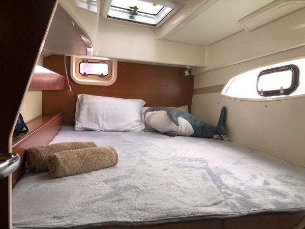 Leopard 384 | Salty Dogs