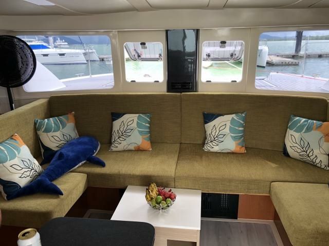 Leopard 384 | Salty Dogs