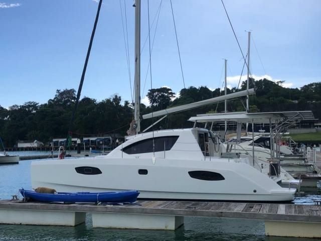 Leopard 384 | Salty Dogs