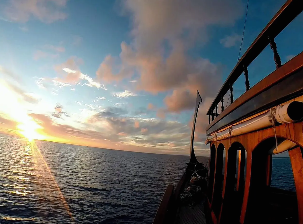 Custom Built 70 | Stella 1