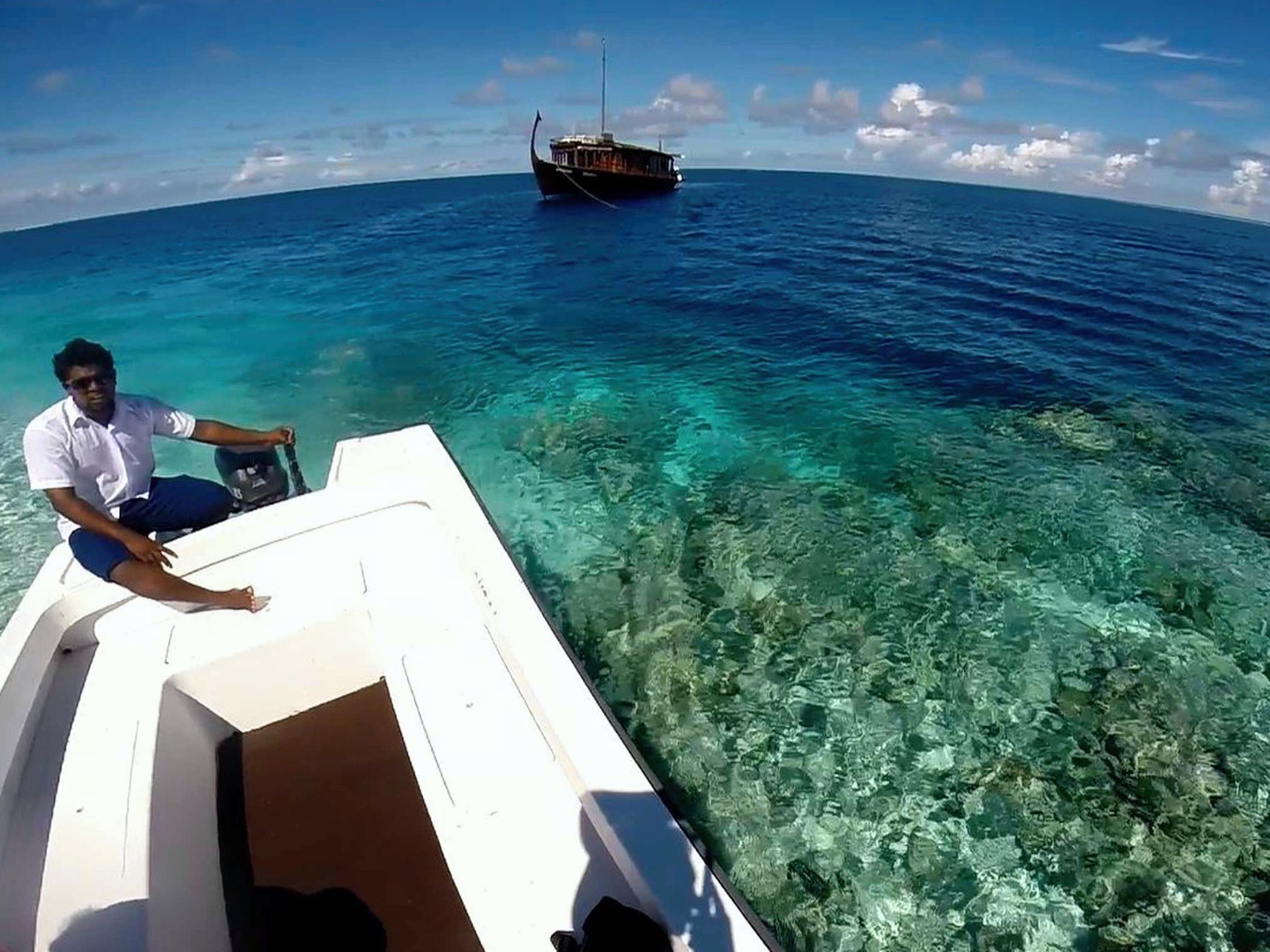 Custom Built 70 | Stella 1