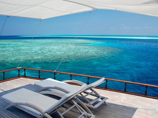 Custom Built 70 | Stella 2