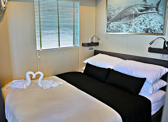 Overblue 54 | Over Reef