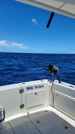 Riviera 42 | Big Tuna