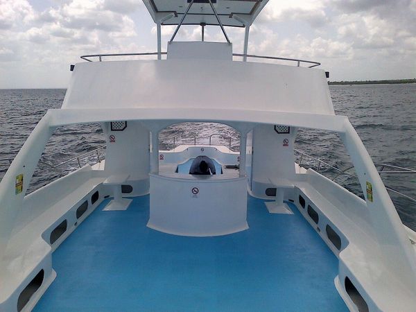 Custom Built 50 | Abierto 1