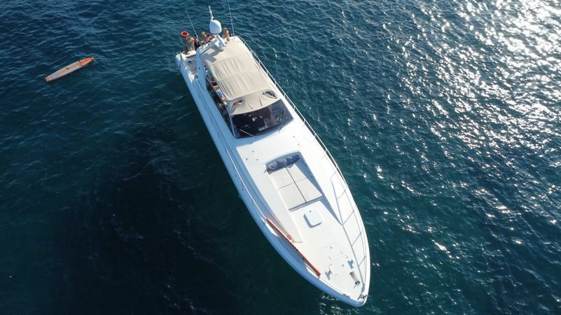 Leopard 23 | Cheetah